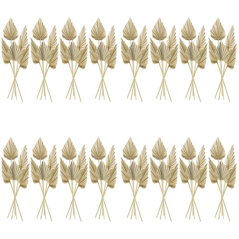 Palm Leaf Dried - 80 Buah Daun Palem Kering Boho,