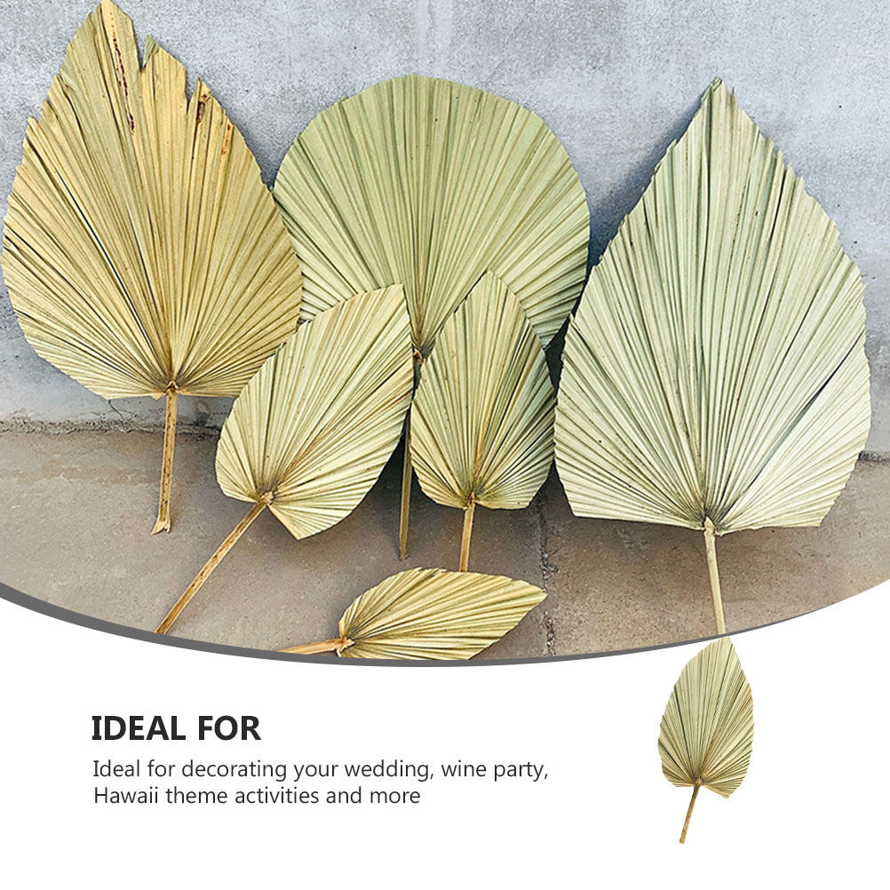 Palm Leaf Dried - 1 buah daun palem alami kering