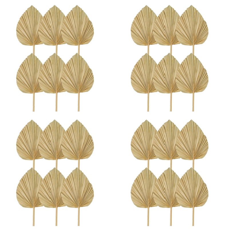 Palm Leaf Dried - 【NATAL】 24 Buah Daun Palem Kering