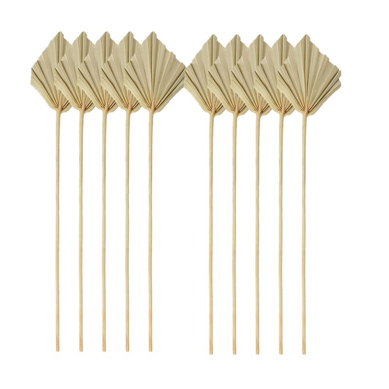 Palm Leaf Dried - A04G-Boho, Hiasan Daun Kelapa Kering Alami