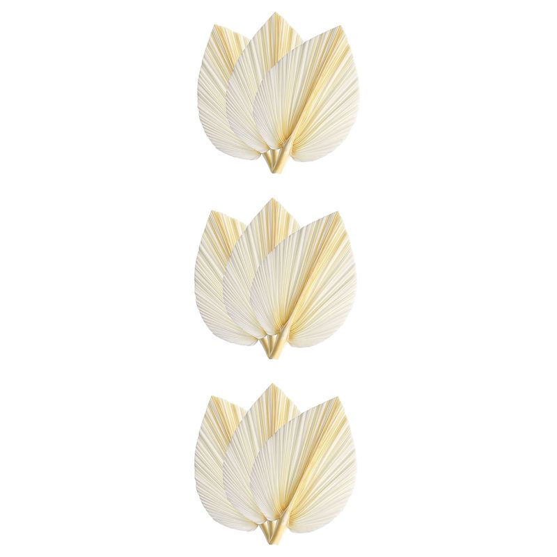 Palm Leaf Dried - Daun Palem Kering Putih Besar -