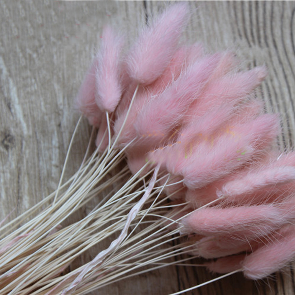 50 Buah Karangan Bunga Alami K - Dried Flower Bunch ulasan dan harga