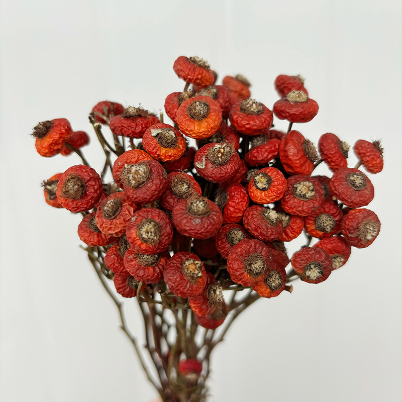 10pcs/Bundel Bunga Mawar Kerin - Dried Flower Bunch ulasan dan harga