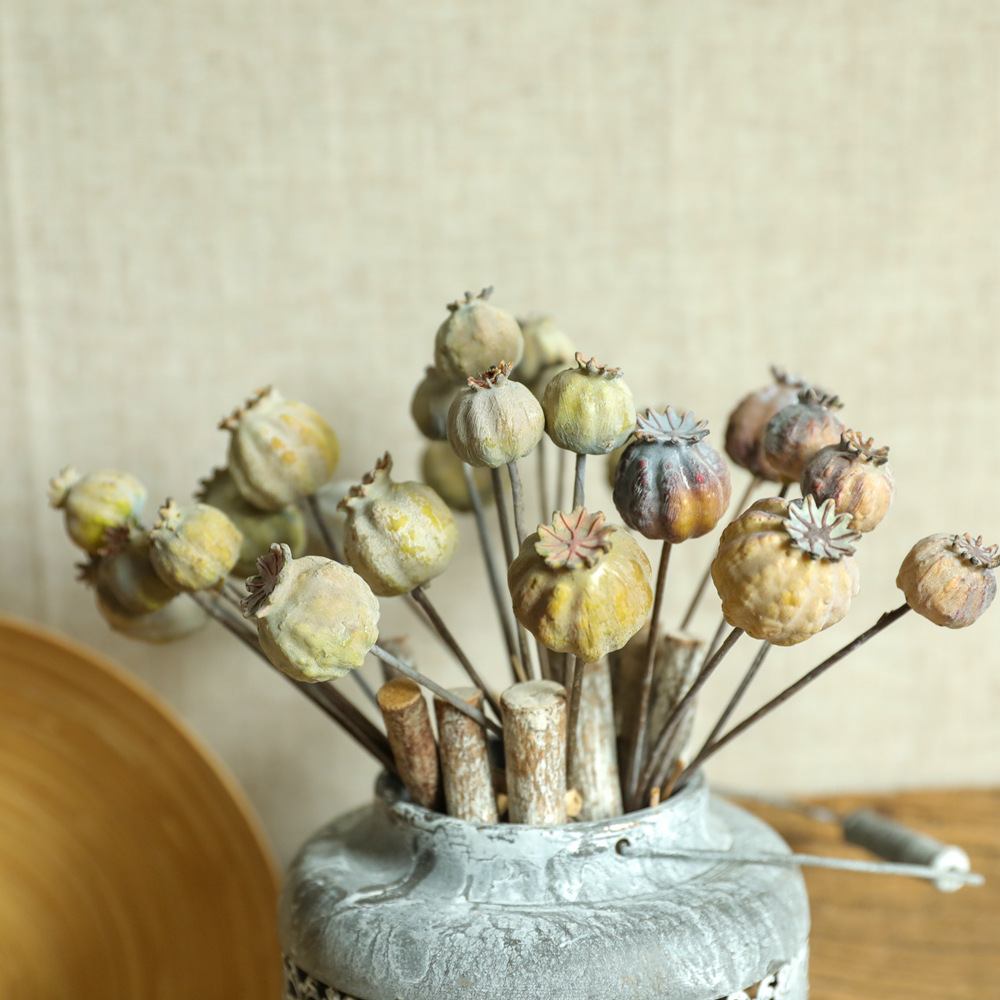 6 kepala bunga poppy buah rang - Dried Flower Bunch ulasan dan harga