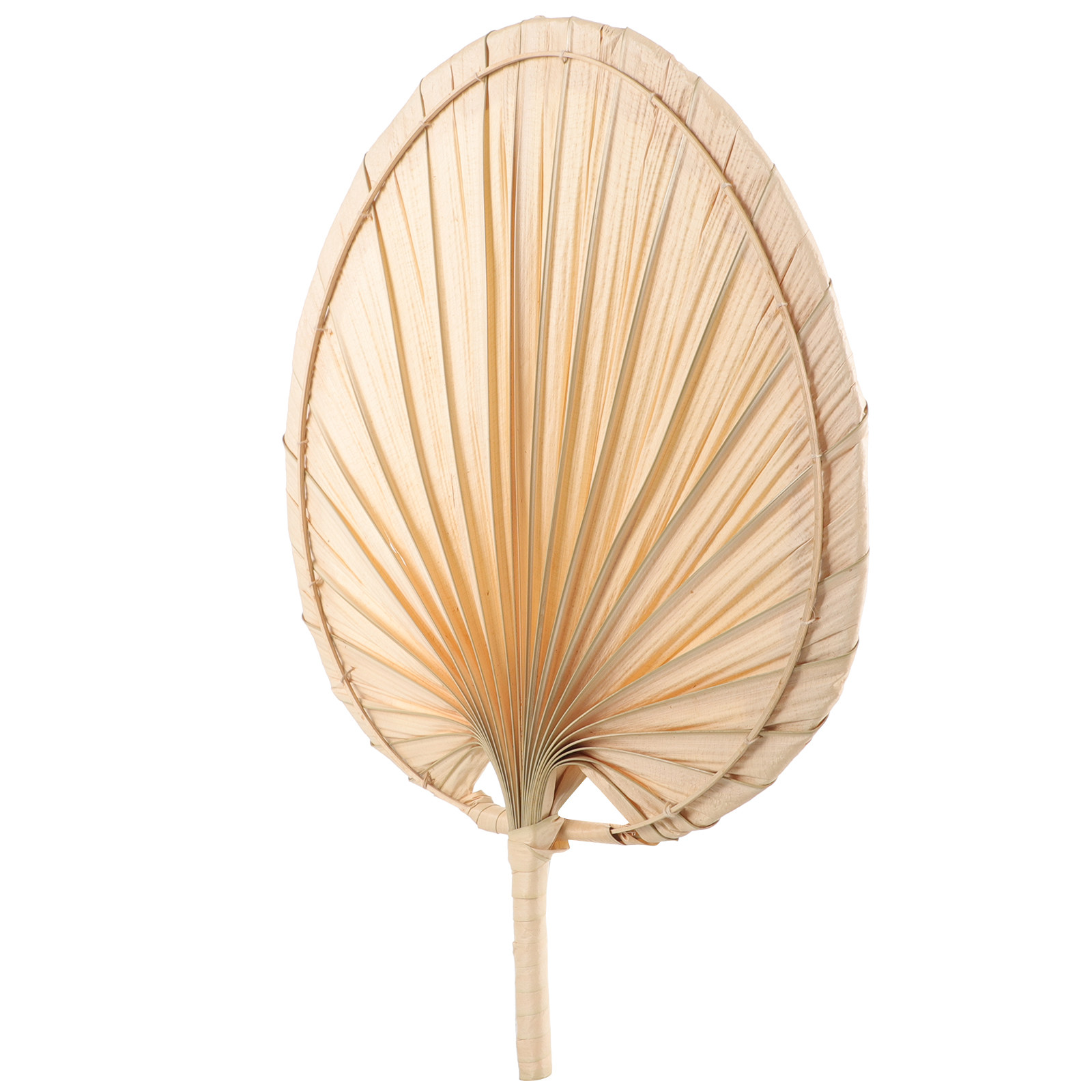 Kipas Tangan Daun Palem Kering - Palm Leaf Dried ulasan dan harga