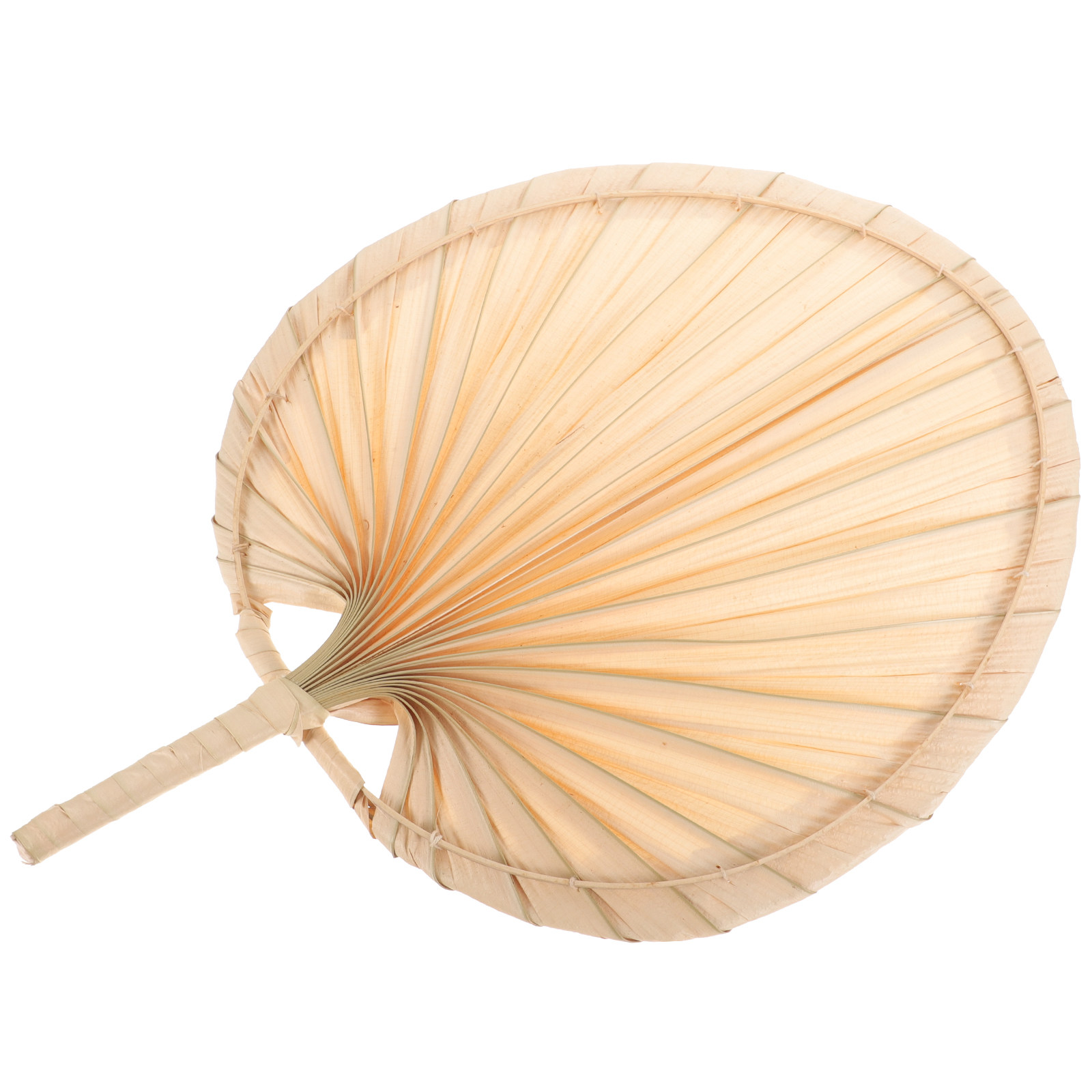 Kipas Tangan Daun Palem Kering - Palm Leaf Dried ulasan dan harga