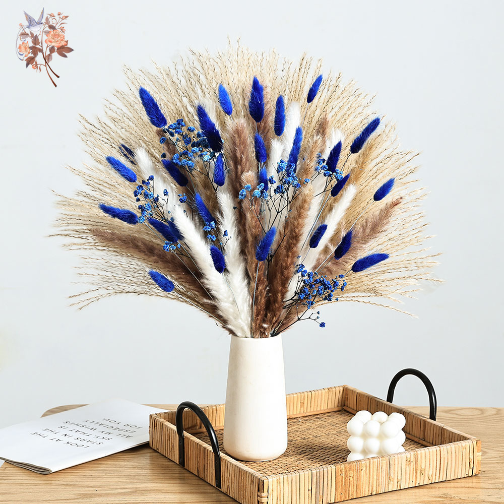 70 Batang Biru Berbulu Ekor Ke - Dried Flower Bunch ulasan dan harga