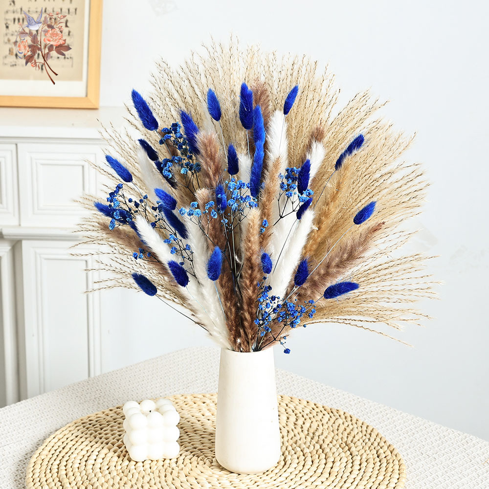 70 Batang Biru Berbulu Ekor Ke - Dried Flower Bunch ulasan dan harga