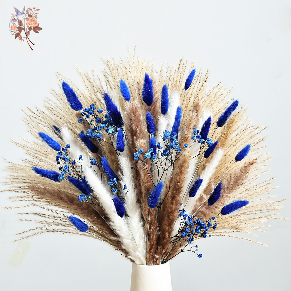 70 Batang Biru Berbulu Ekor Ke - Dried Flower Bunch ulasan dan harga
