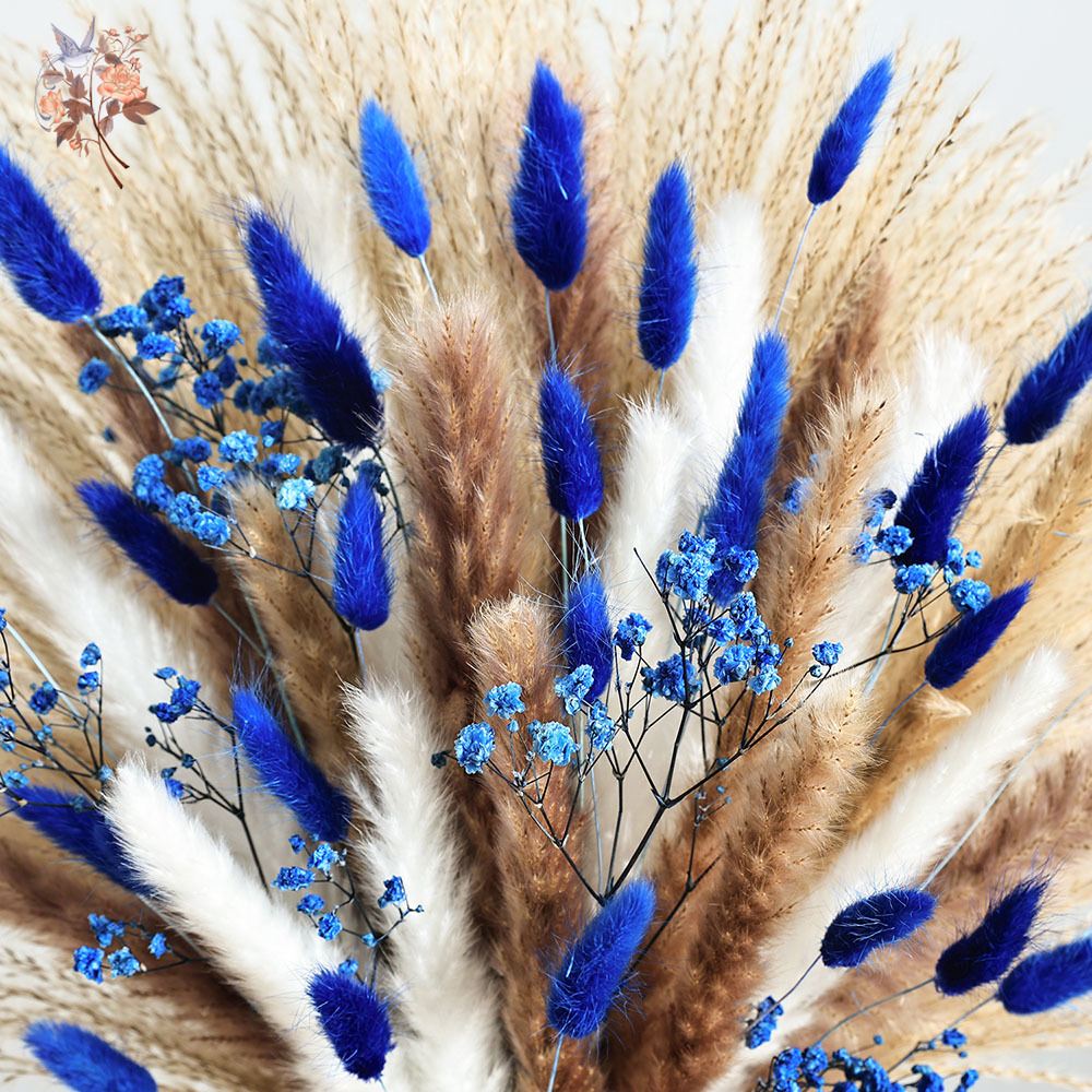 70 Batang Biru Berbulu Ekor Ke - Dried Flower Bunch ulasan dan harga