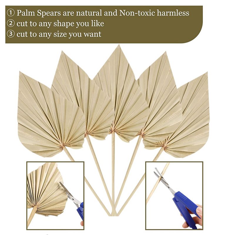80 Buah Daun Palem Kering Boho - Palm Leaf Dried ulasan dan harga