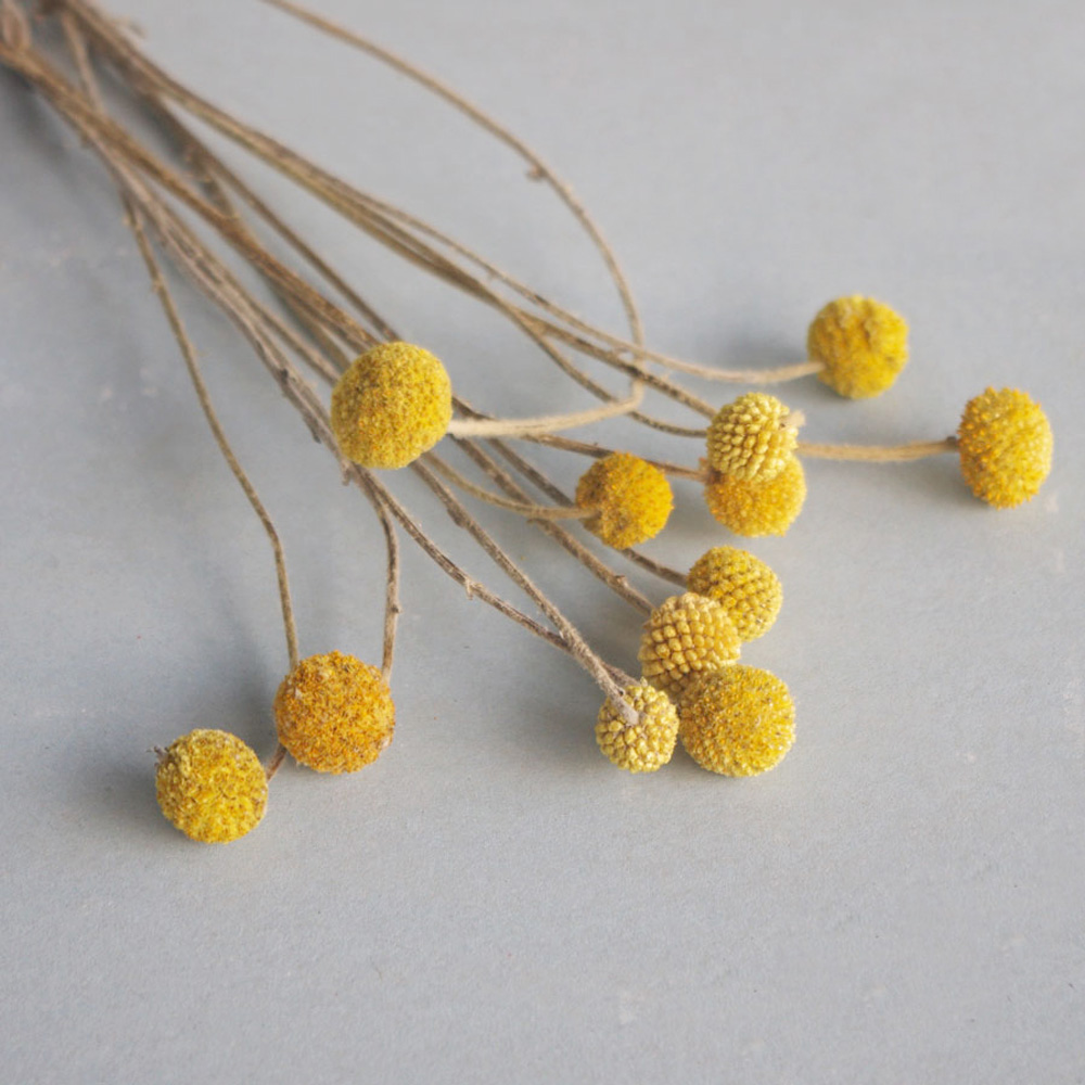 20 Buah Karangan Bunga Crasped - Dried Flower Bunch ulasan dan harga