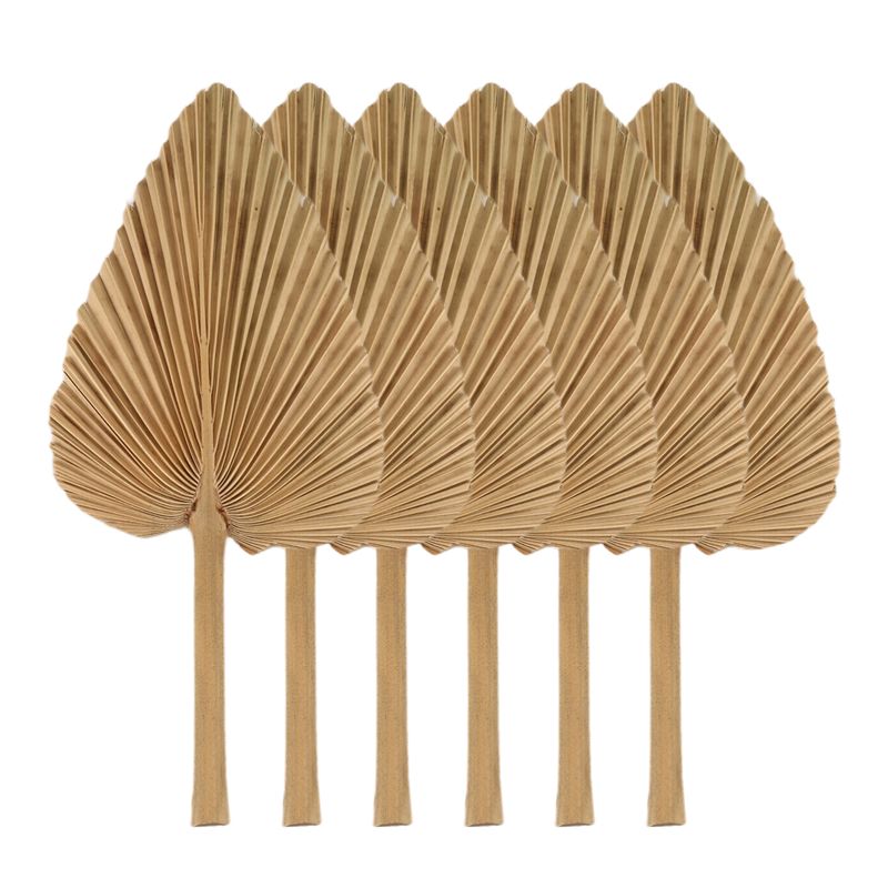 AT84-6PCS Daun Palem Kering Al - Palm Leaf Dried ulasan dan harga