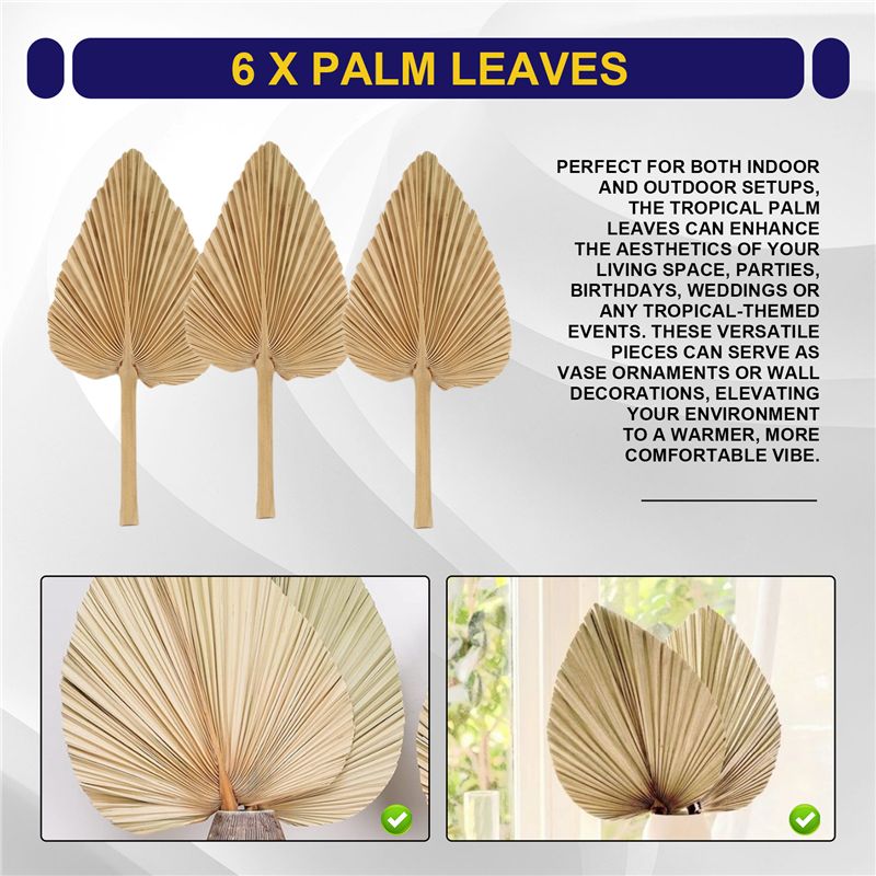 AT84-6PCS Daun Palem Kering Al - Palm Leaf Dried ulasan dan harga