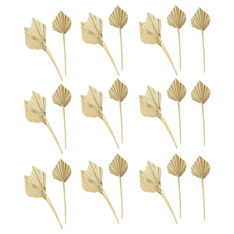 AS60-30 Pcs Daun Palem Kering  - Palm Leaf Dried ulasan dan harga