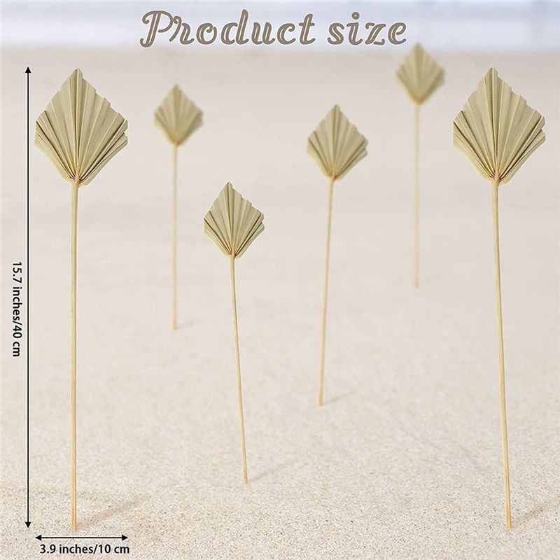 AS60-30 Pcs Daun Palem Kering  - Palm Leaf Dried ulasan dan harga