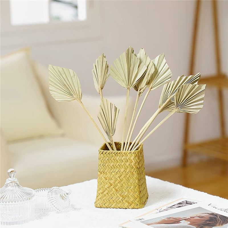 AS60-30 Pcs Daun Palem Kering  - Palm Leaf Dried ulasan dan harga