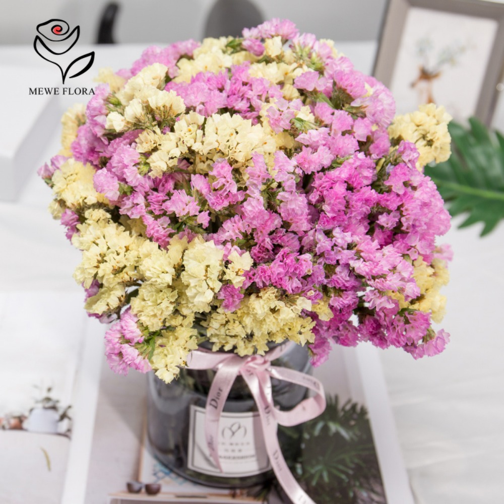 100g kering Forget Me bukan bu - Dried Flower Bunch ulasan dan harga