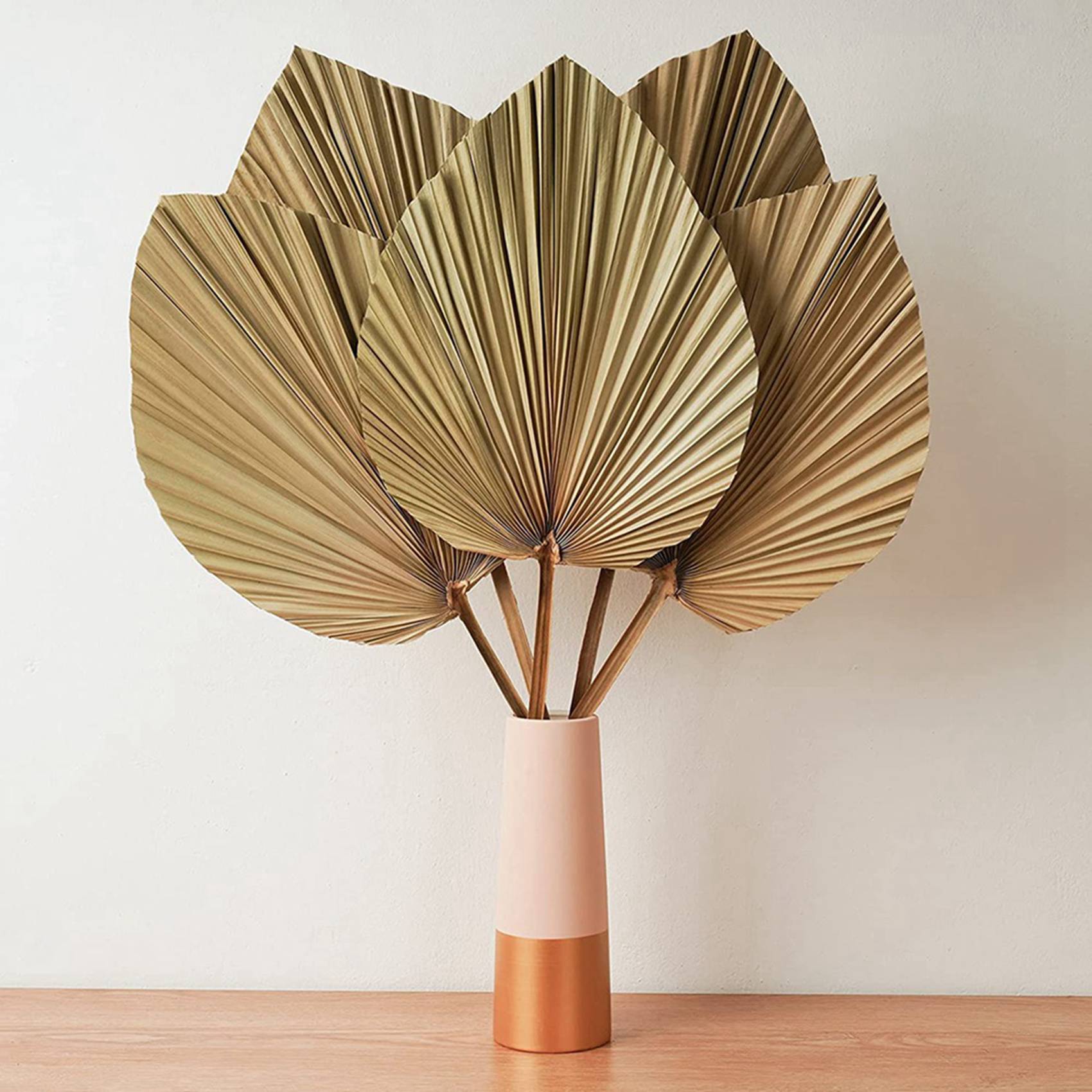 Dekorasi Ruangan Daun Palem Ke - Palm Leaf Dried ulasan dan harga