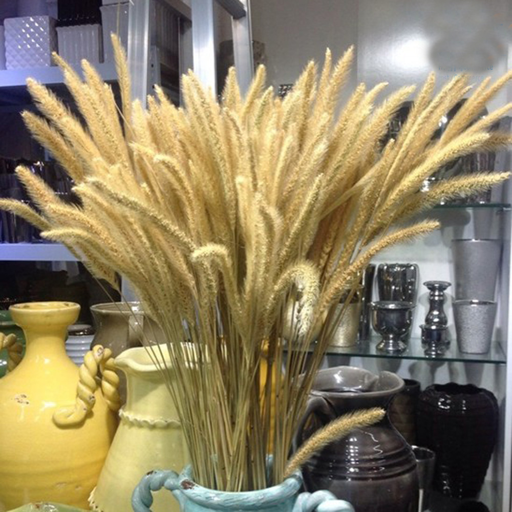 200 Buah Karangan Bunga Laguru - Dried Flower Bunch ulasan dan harga