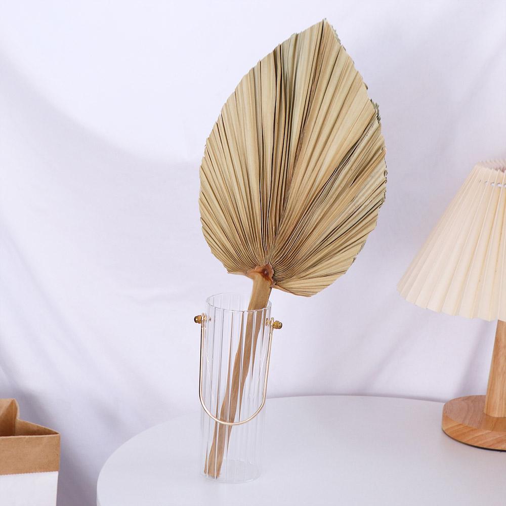 Daun Palem Kering Alami Gaya B - Palm Leaf Dried ulasan dan harga