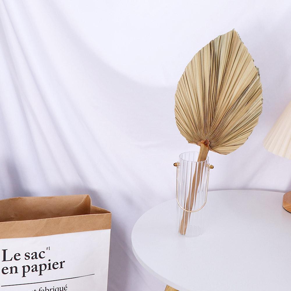Daun Palem Kering Alami Gaya B - Palm Leaf Dried ulasan dan harga
