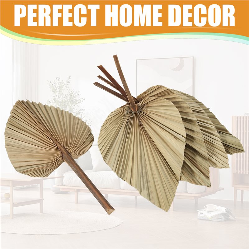 SEWS-5 Buah Daun Palem Kering  - Palm Leaf Dried ulasan dan harga