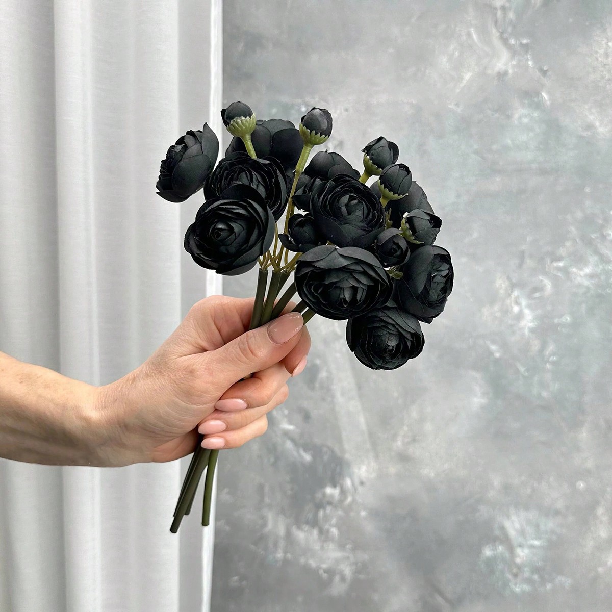 Mini Hitam Ranunculus Bunga Su - Dried Flower Bunch ulasan dan harga