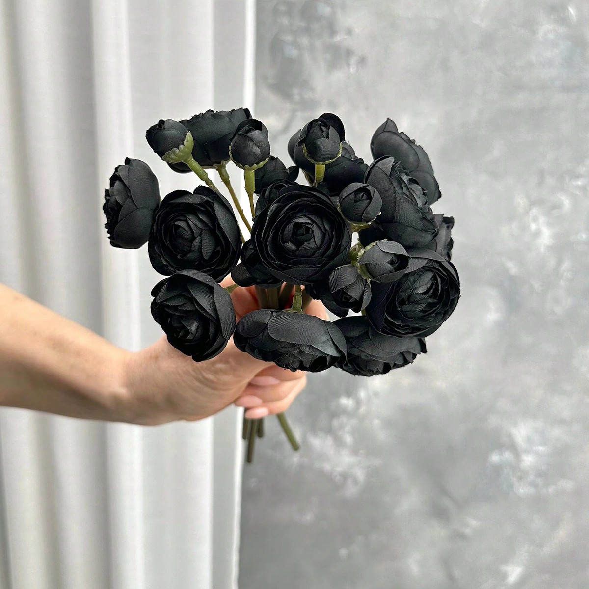 Mini Hitam Ranunculus Bunga Su - Dried Flower Bunch ulasan dan harga