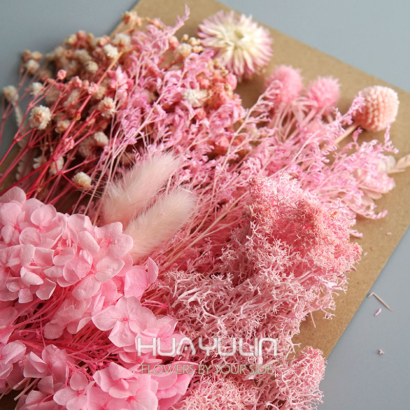 1 Pak tanaman buatan bunga asl - Dried Flower Bunch ulasan dan harga