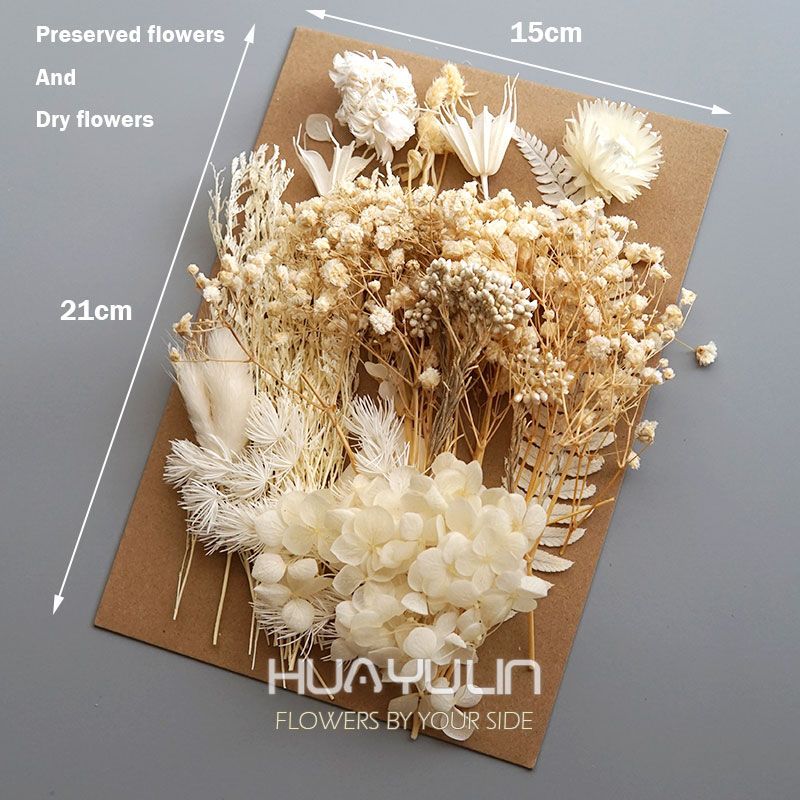 1 Pak tanaman buatan bunga asl - Dried Flower Bunch ulasan dan harga